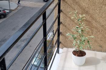 En venta. Departamento de tres ambientes a la calle con balcón - Mar del Plata
